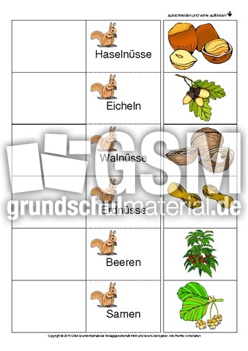 Flip-Flap-Eichhörnchen-Ernährung-2.pdf